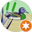 Michał Mikołajczak (Mikolaj3) profile picture