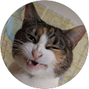 Małgorzata Michałowska profile picture